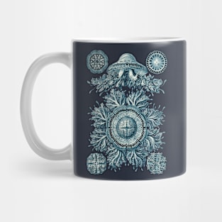 Ernst Haeckel Discomedusae Jellyfish Plate 28 Cerulean Mug